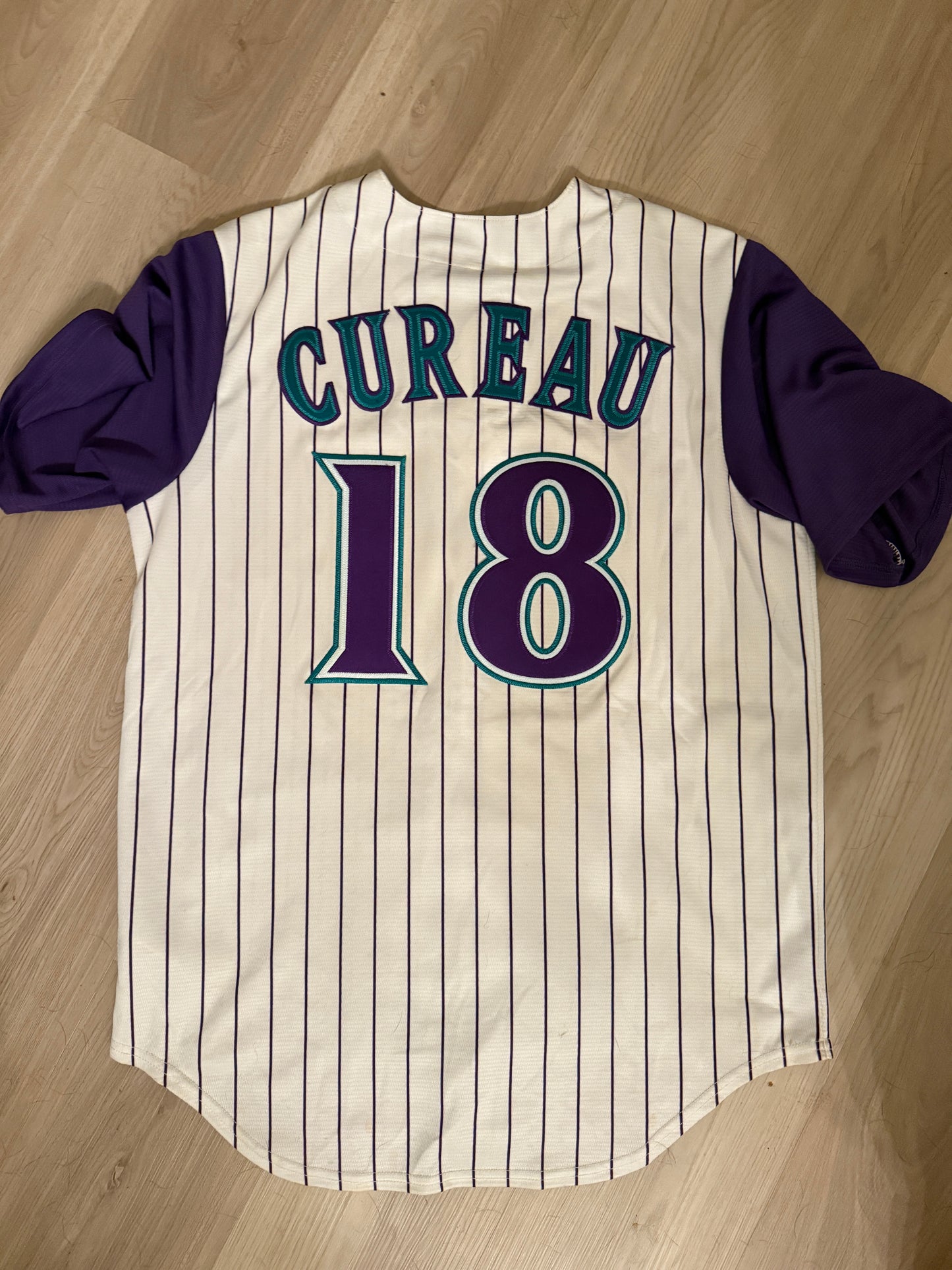 (Stage Worn) Custom Arizona Baseball Jersey (Will come signed!)